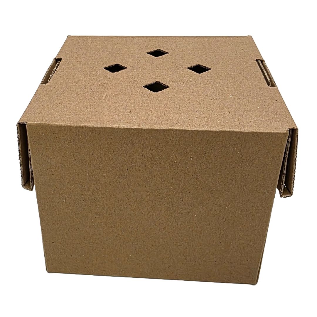 Kraft Single Burger Boxes with Vented Lid | Eco-Friendly Burger Boxes