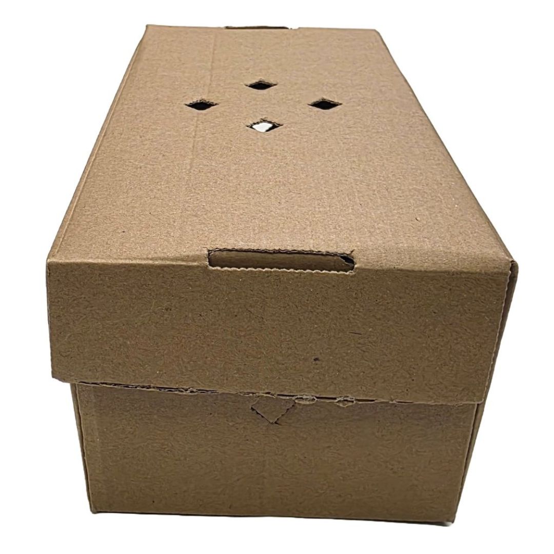 Kraft Double Burger Boxes Closed Side View