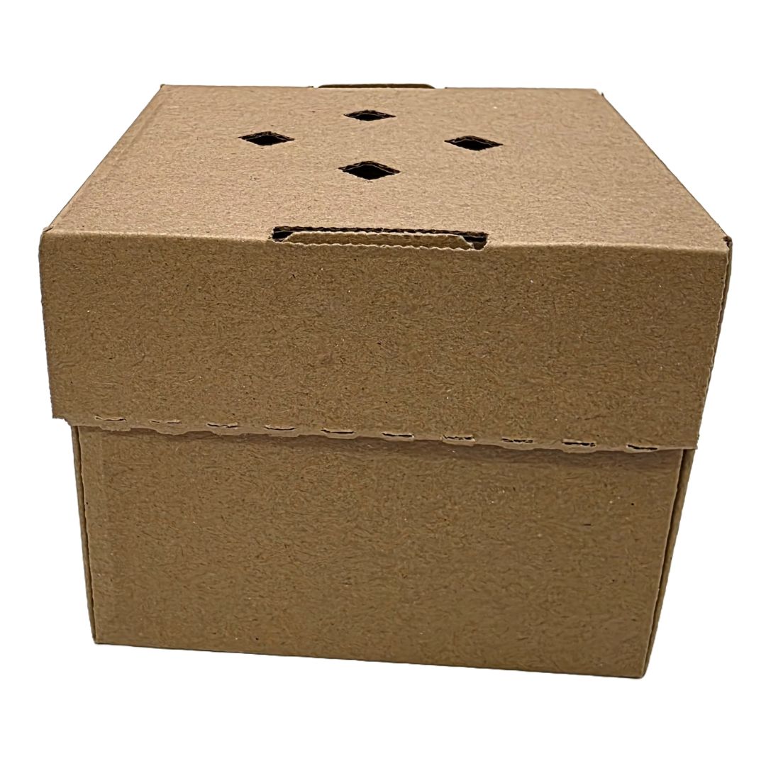 Kraft Single Burger Boxes with Vented Lid | Eco-Friendly Burger Boxes
