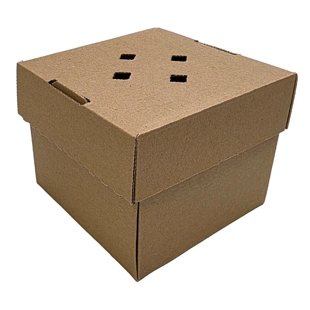 Kraft Single Burger Boxes with Vented Lid | Eco-Friendly Burger Boxes