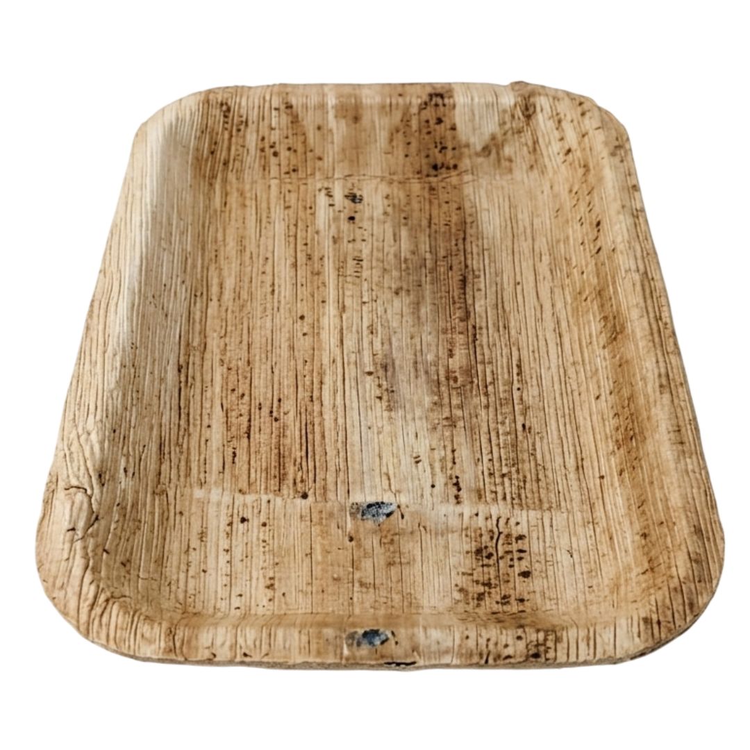 Palm Leaf Rectangular Plate Birds Eye View