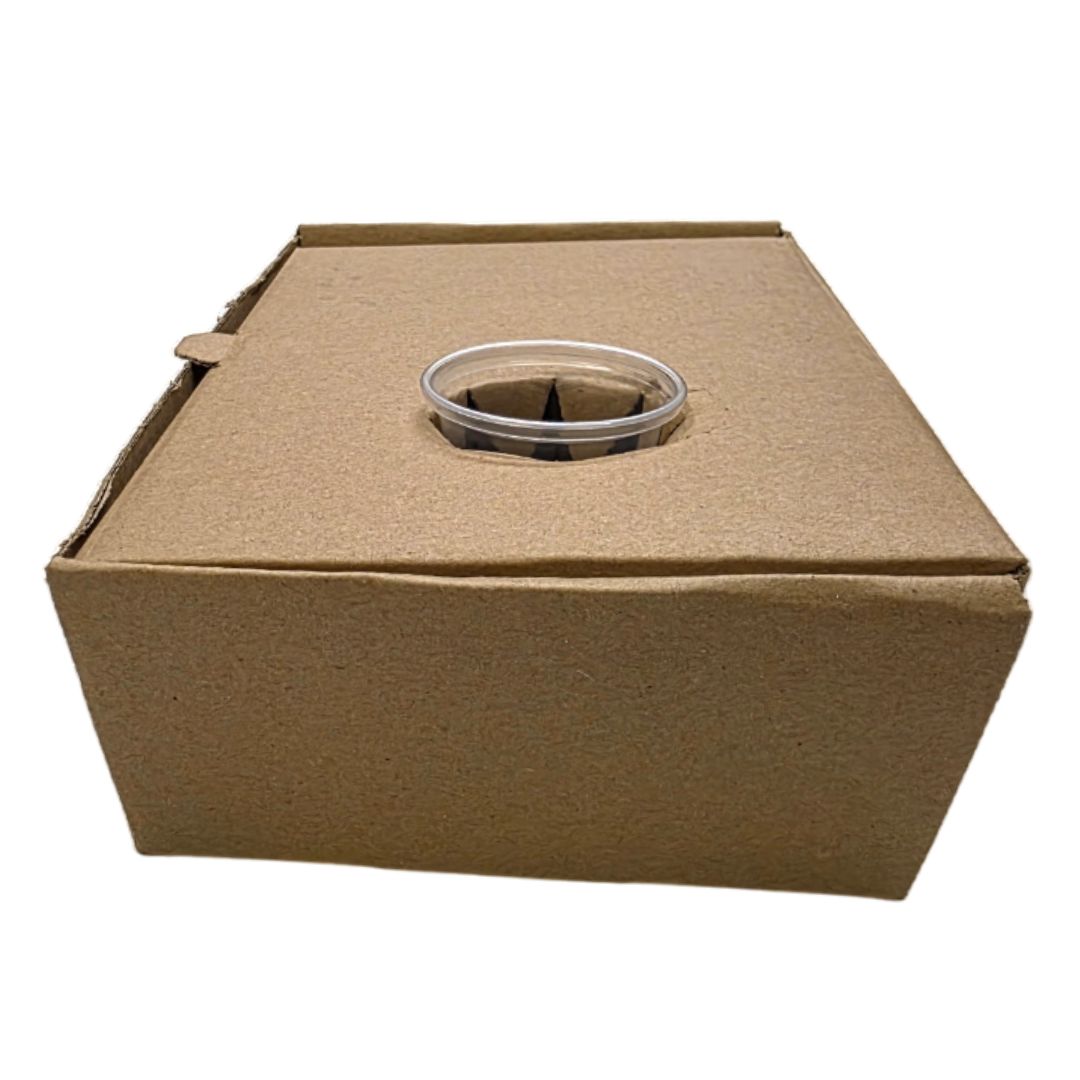 Side Order Takeaway Boxes with Sauce Pot Closed Side View