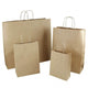 VITA™ Twist Handle Brown Paper Bags